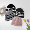 Women's Men's Couple Daily Archive Beanie Hat