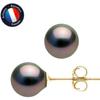 Earrings - - Genuine Tahitian Cultured Pearls - 8-9 Mm - Yellow Gold - AAA+