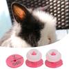 100Pcs Quality Plastic Animal Livestock Ear Tag for Rabbit Fox Dog  Marker Label(Rose Red)