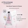 L'Occitane Cherry Blossom Hand Cream