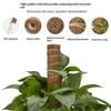 1Pcs Plant Climbing Traction Rod Fixed Bracket for Vines Creative Support Holder for Indoor Balcony Wall Greening