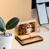 Time Piece Calendar 2026 Desk Calendar With Light 3D art Owl Calendar Paper Carving Art Memo Pad Notepad Gift for Christmas gift