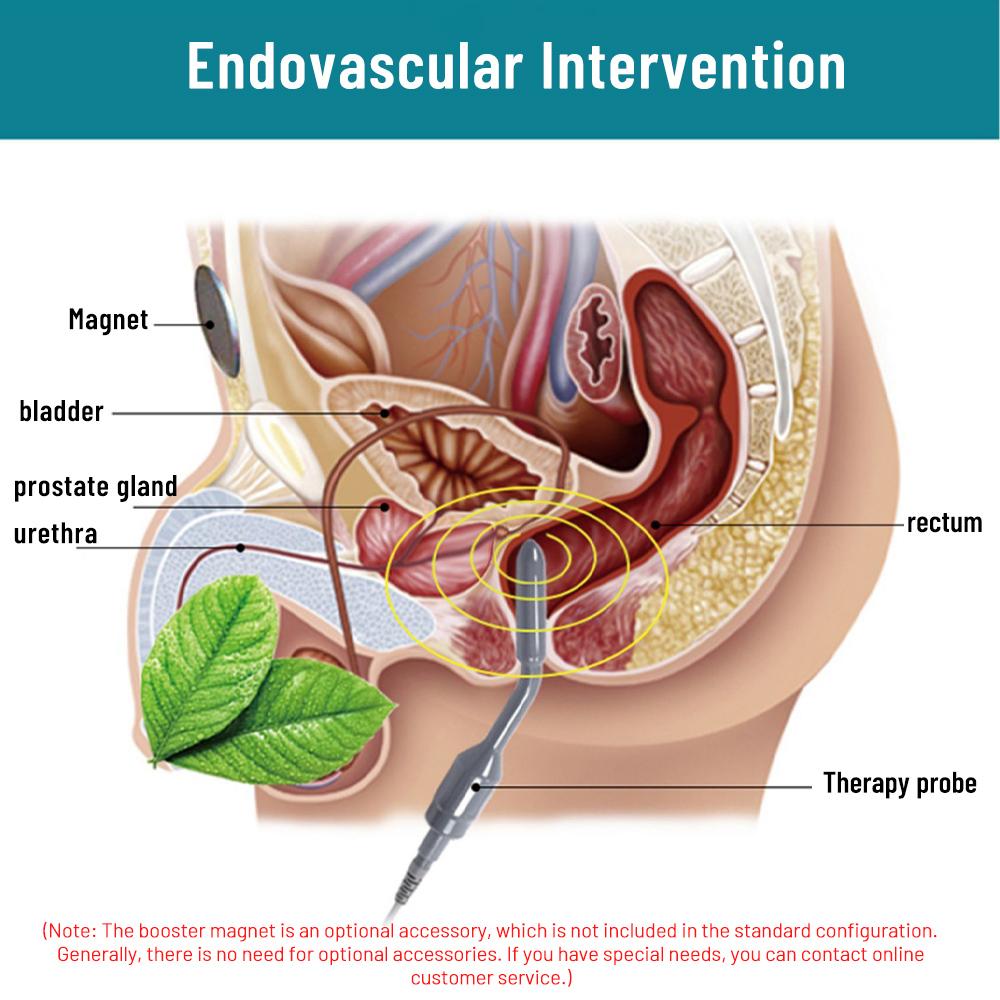 Men's Health Heating Massager Powerful Pulse Vibration & Magnetic Therapy for Prostate Wellness & Muscle Relaxation Health Care