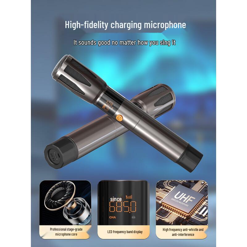 SANSUI G13 High-Power Portable Bluetooth Karaoke Machine with Dual Mics