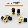 Car Motorcycle Bike Tire Brass Valve Stem M8x1 Durable Air Valves with Dustproof Caps Airtight Fitting Accessory