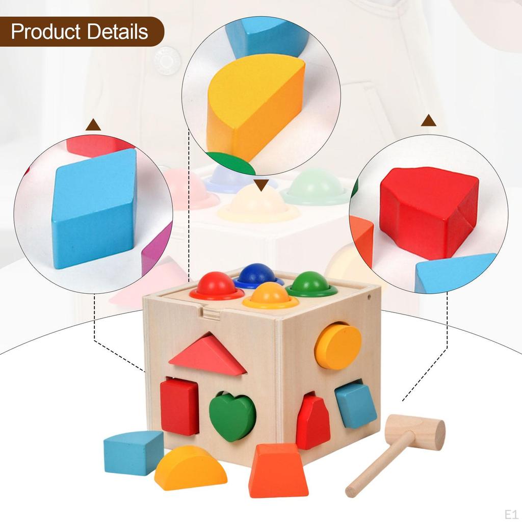 Color and Shape Sorting Box Sorter Toddler Educational Activity Classic Blocks Cognitive Toy