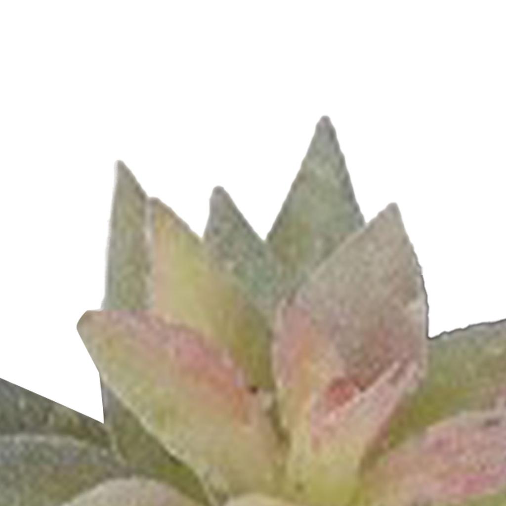 Künstliche Sukkulente Pflanze Weiches PVC Hohe Simulation Mini Kunstpflanze für Heim Büro Schreibtisch Dekoration