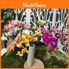 Artificial 3d Printed Butterfly Orchid With Realistic Texture For Wedding Decor And Home Use