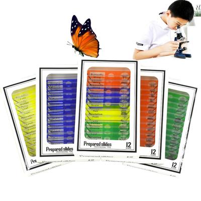 12 sztuk/zestaw Plastikowe szkiełka mikroskopowe Biologiczna próbka z mikroskopem studenckim dla dzieci