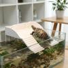 Plastic Turtle Climbing Ramp with Suction Cups Reptile Terrace Feeding Platform  Aquarium Decor