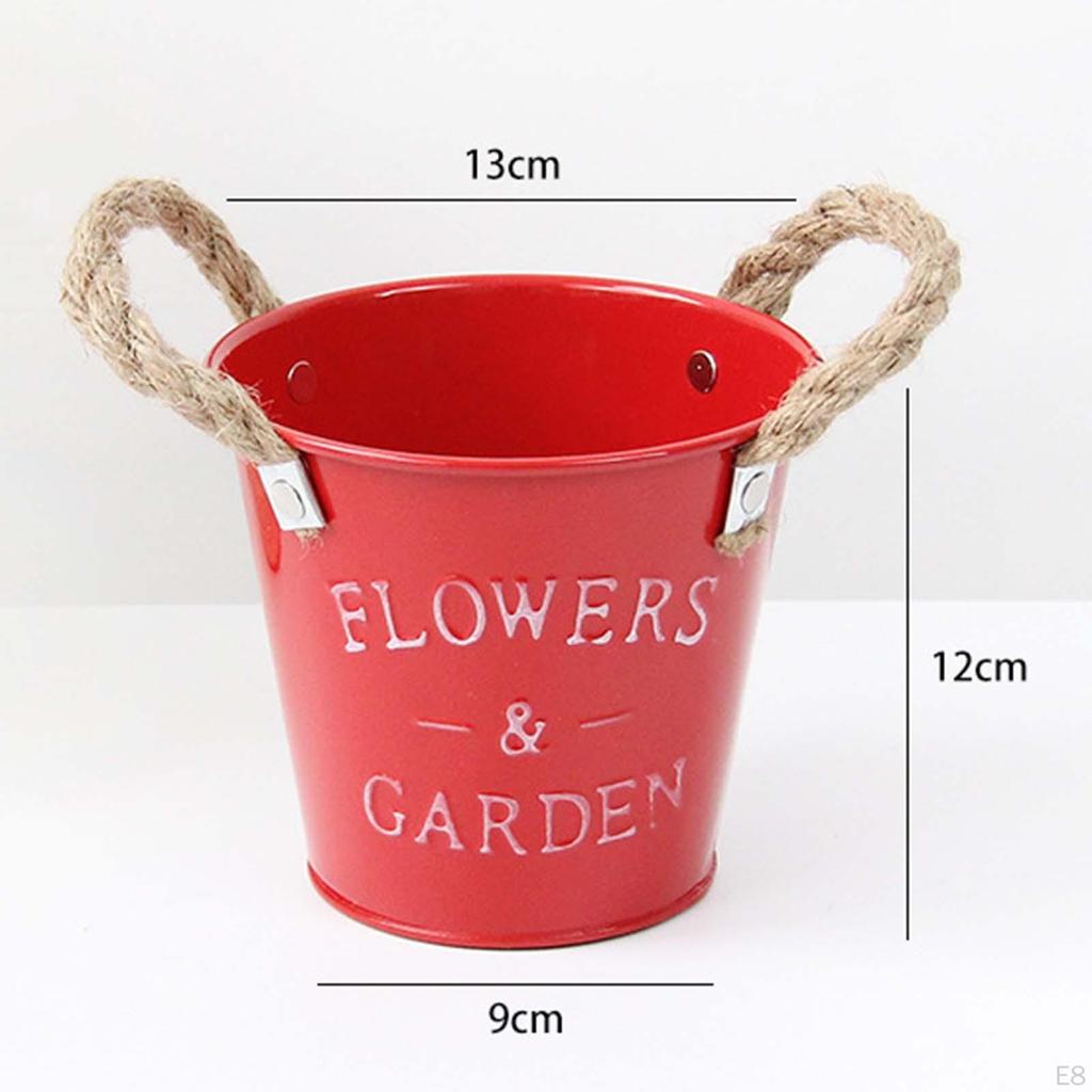 Chic Metal Planter for Contemporary Indoor And Outdoor Styling