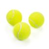 Tennis Balls High Bounce Practice Training Outdoor Elasticity Durable Tennis for Dogs Bite Chase and Chomp 6.5CM Dog Ball