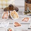 46Pcs Cute Cat Diary Decorative Boxed Stickers Kawaii Pets Scrapbooking Label Diary Album Journal Planner Student Supplies