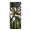 Phone Case For Samsung Galaxy Z Flip 3 4 5 6 7 Hard Folding PC Z Flip3 Flip4 Cover Beautiful Nature Forest Tree