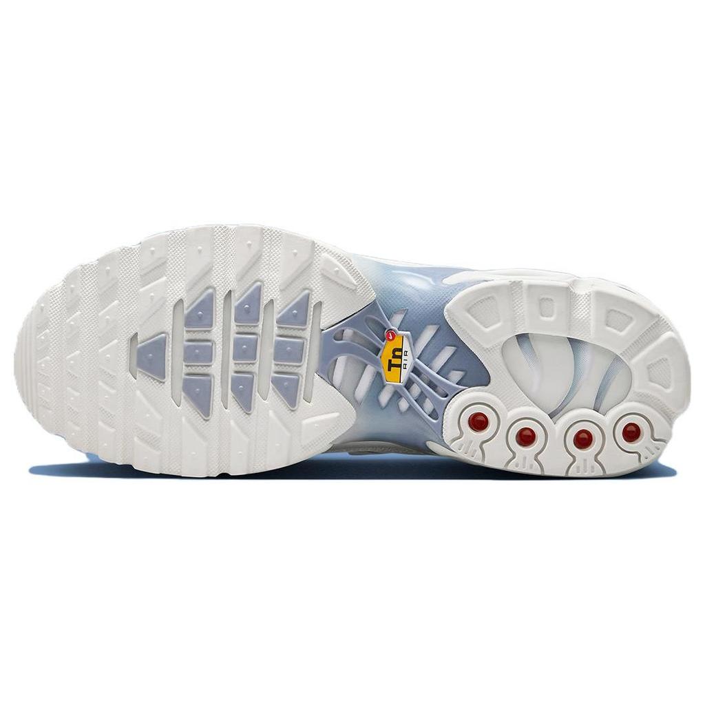 Nike Air Max Plus Ashen Slate Women Sneakers White Summit-White Light-Armory-Blue DZ3671-104