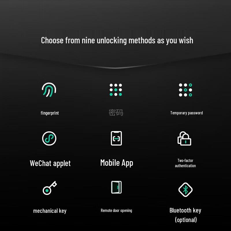 DESSMANN Dasheng Q5MPro Smart Fingerprint Door Lock with Peephole Camera