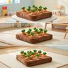 Carrot Pulling Toy Montessori Cuddly Board with Carrots GentlePull for Young Children,