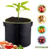 Garden Planting Basket Container Vegetable Flower Pot 5/7/10 Gallon Plant Grow Bag Felt