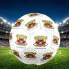 Go Ahead Eagles Print Maat 5 Voetbal, PU Slijtvaste Voetbal voor Wedstrijdtraining en Dagelijkse Oefening, Verjaardagscadeau voor Voetbalfans