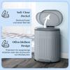 20L Metal Kitchen Bin, with Soft-Close Lid - Grey