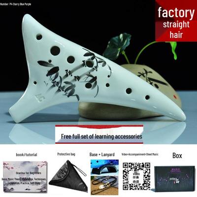 12-Hole C-Key Ocarina for Beginners with Tutorial - Ideal Teacher-Recommended Gift for Students, Hand-painted Design