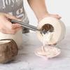 Wall-Mountable Stainless Steel Coconut Grater with Thickened Handle for DIY Summer Drinks