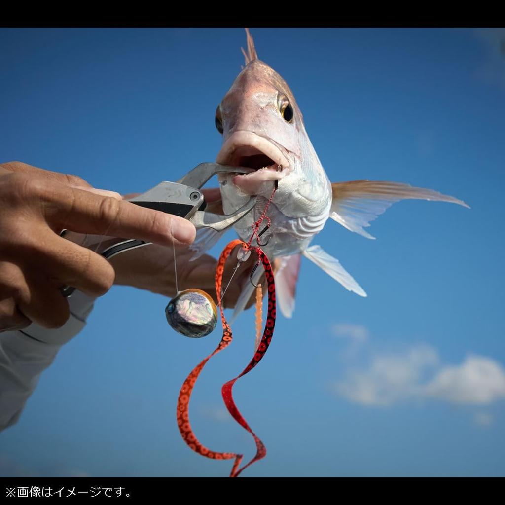 Daiwa Tai Rubber Benigane Bay Rubber Free Beta Head 250g Sherry Red