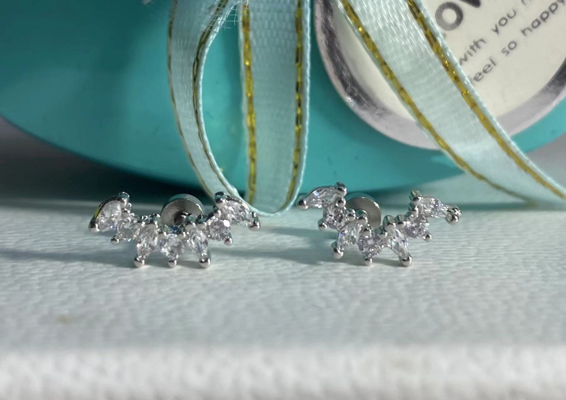 

Delicate zircon stud earrings women s light luxury high-end sense nourishing ear hole earrings new foreign gas earrings