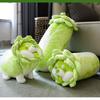 Cute Vegetable Fairy Plush Toy Lifelike Japanese Cabbage Dog Cantaloupe Tortoise Cabbage Frog Fluffy Shiba Inu Pillow Kids Toys