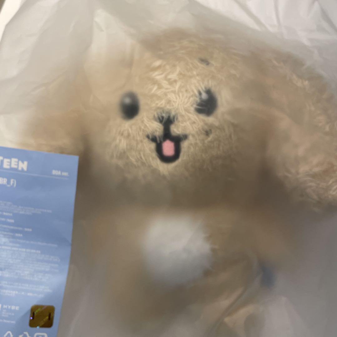 

[USED] Seventeen Miniteen Dogyeom Door Plush Toy