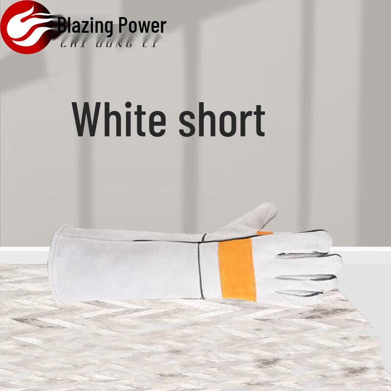 Оборудование для аджилити и дрессировки собак