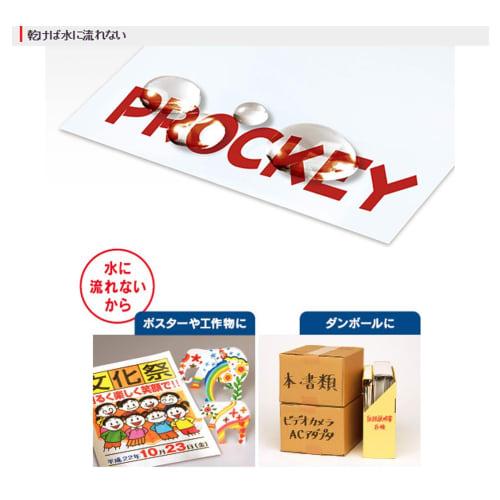 Mitsubishi Pencil Water-based Signature Pen Procky Twin Fine + Bold Black PM150TR.24 10 pieces