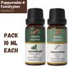 Peppermint & Eucalyptus Essential Oil Combo for Aromatherapy & Home Fragrance | Essential Oils for Diffuser & Soap Making