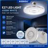 Becuri LED – Becuri și tuburi LED