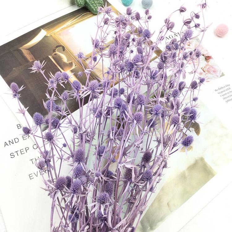 Preserved Eryngium Blue Planet Glass Dome DIY Wedding Flowers