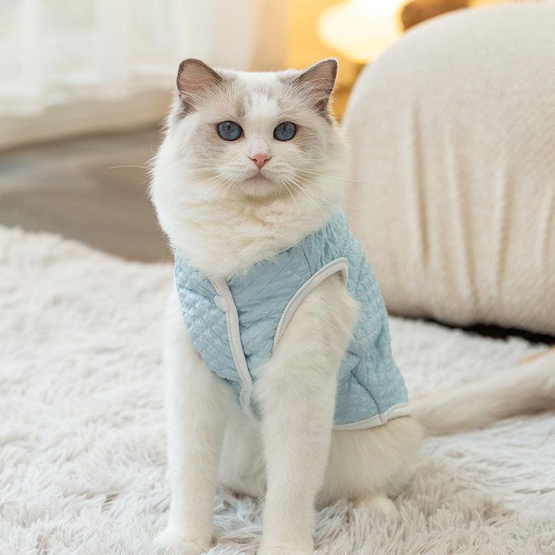 Cat Clothes Autumn and Winter Warm Into Cat Kitten Two-legged Vest Small Dog Puppy Dog Pet Cat Rice Clothing