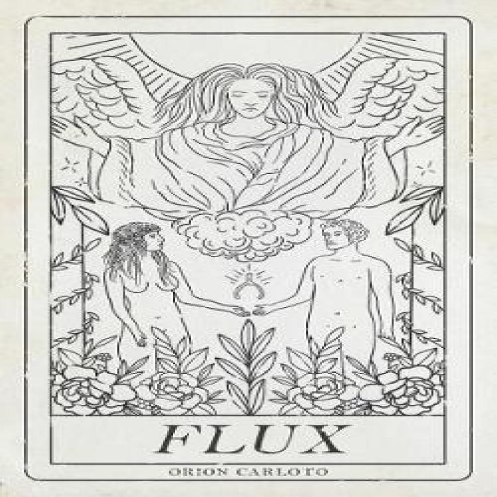 Flux von Orion Carloto Taschenbuch 9781449489328