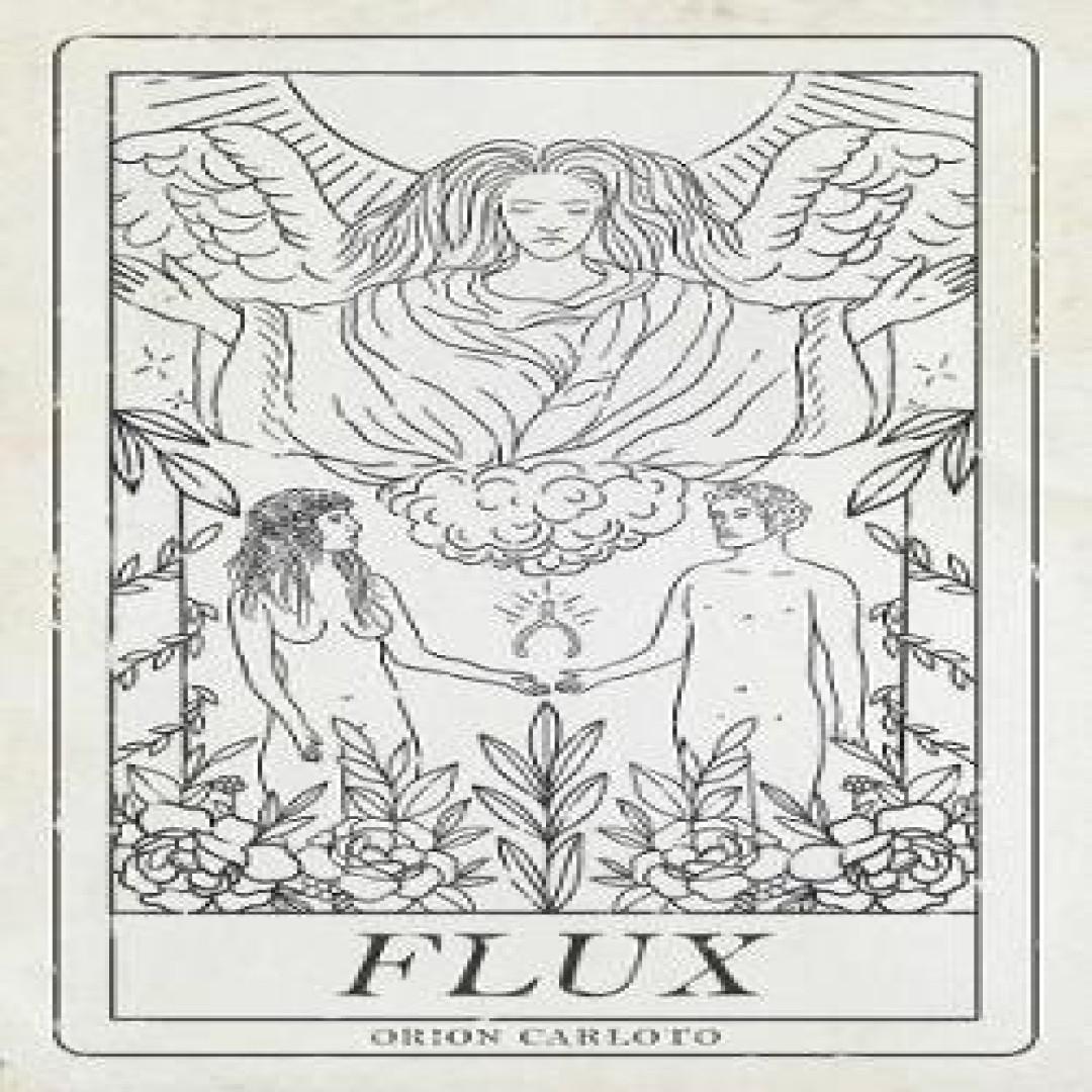 Flux von Orion Carloto Taschenbuch 9781449489328