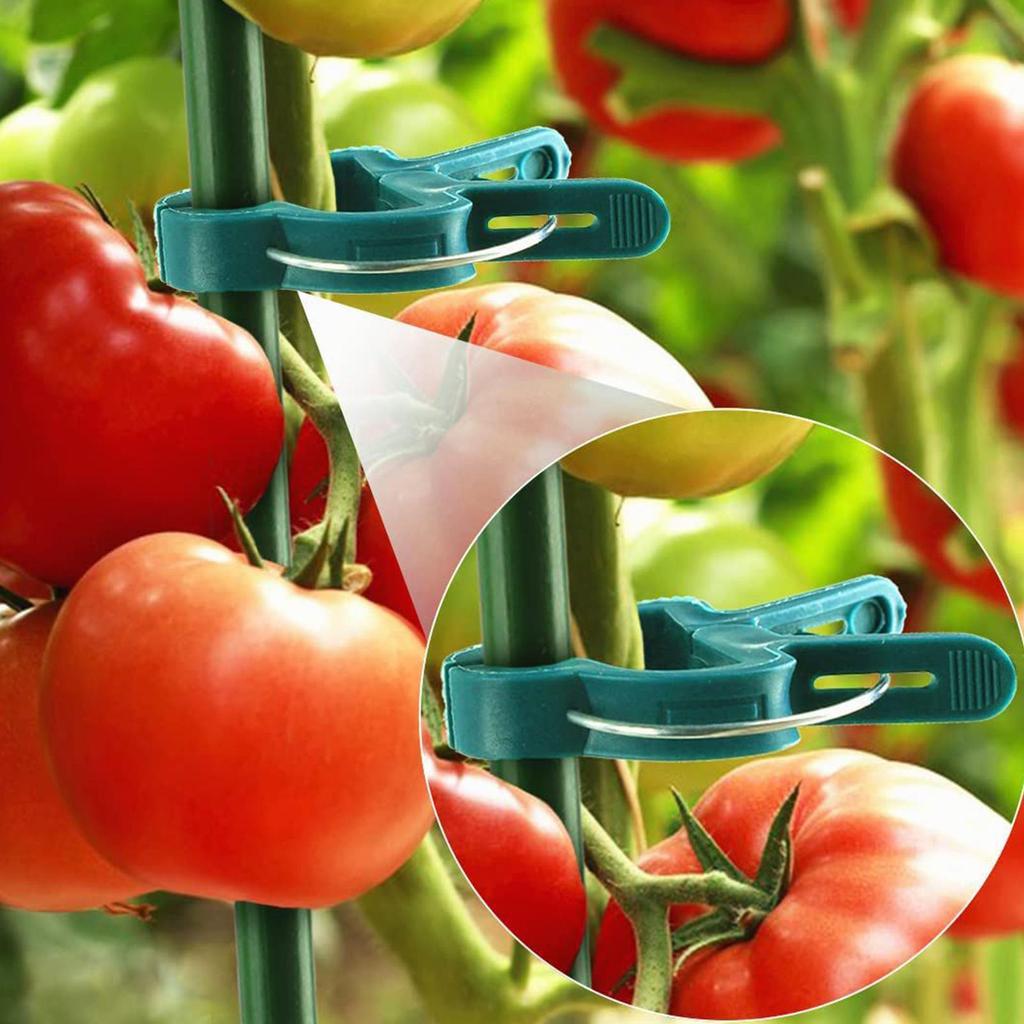 20Pcs Reusable Plant Clips for Tomato, Vegetable, Orchid, Flower, Vine & Stem, Plant Support Clamps for Greenhouse Garden Use