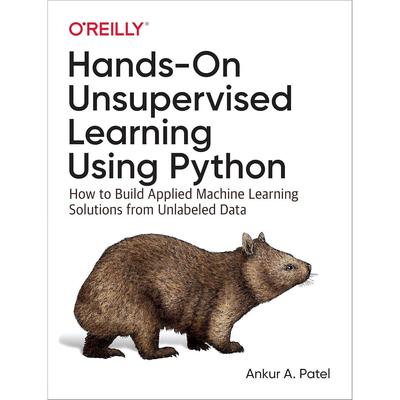 Hands-On Unsupervised Learning Using Python Paperback UKN113