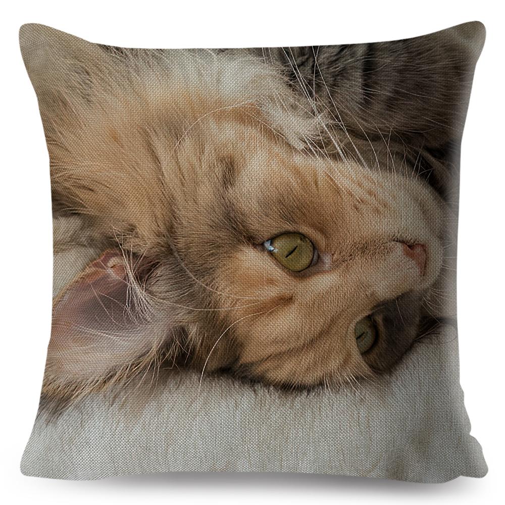 Maine Coon Cat Portrait Cushion Cover Realistic Animal Print Double Sided Soft Linen Home Decor Pillow Case