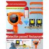 MDNG Baorui Combustible Gas Alarm with Auto Shut-off CN plug (adapter included)