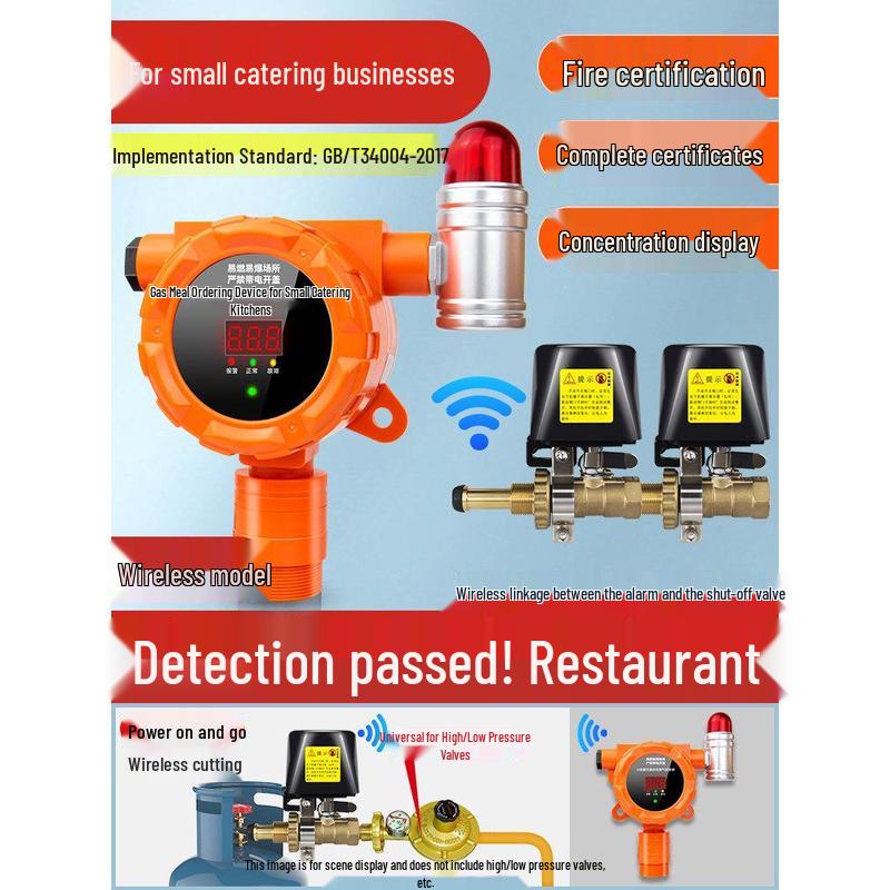 MDNG Baorui Combustible Gas Alarm with Auto Shut-off CN plug (adapter included)