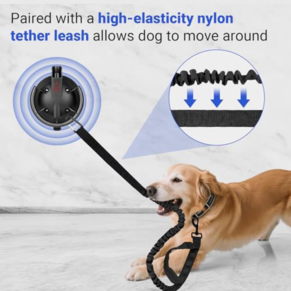 Shower Parts Dog Bathing Suction Cup With Tether: Secure & Easy-Bathing Suction Cup Set 15x12x6cm Plastic Vacuum Pump 260LBS