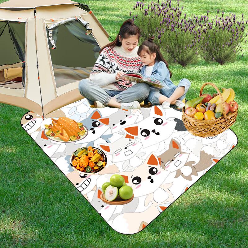 Outdoor Picnic & Camping Mat