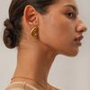 CARLIDANA Geometric Textured Waterproof Gold Plated Conch Spiral Stainless Steel Jewelry Heart Earrings Tiger Eyes Stone Woman