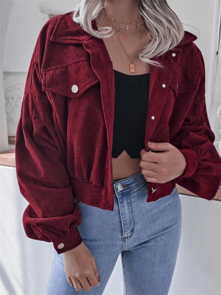 Ins Style Autumn Velvet Long Sleeve Cardigan Jacket for Women