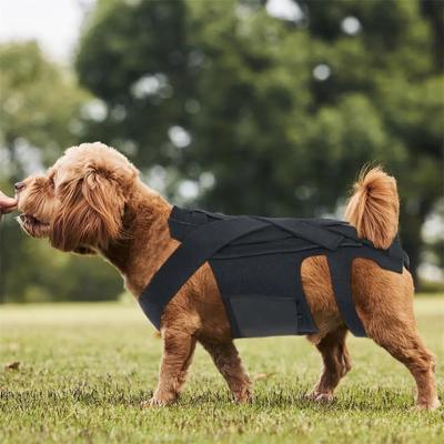 Bequeme Mobilitätshilfe für Haustiere Atmungsaktive Rückenbandage für Hunde Rückenstützweste für Hunde Rehabilitation