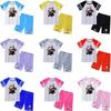 Kids Boys Girls Anime Cartoon Demon Slayer Short Sleeves T-shirt Top Shorts Pants Clothes Sets