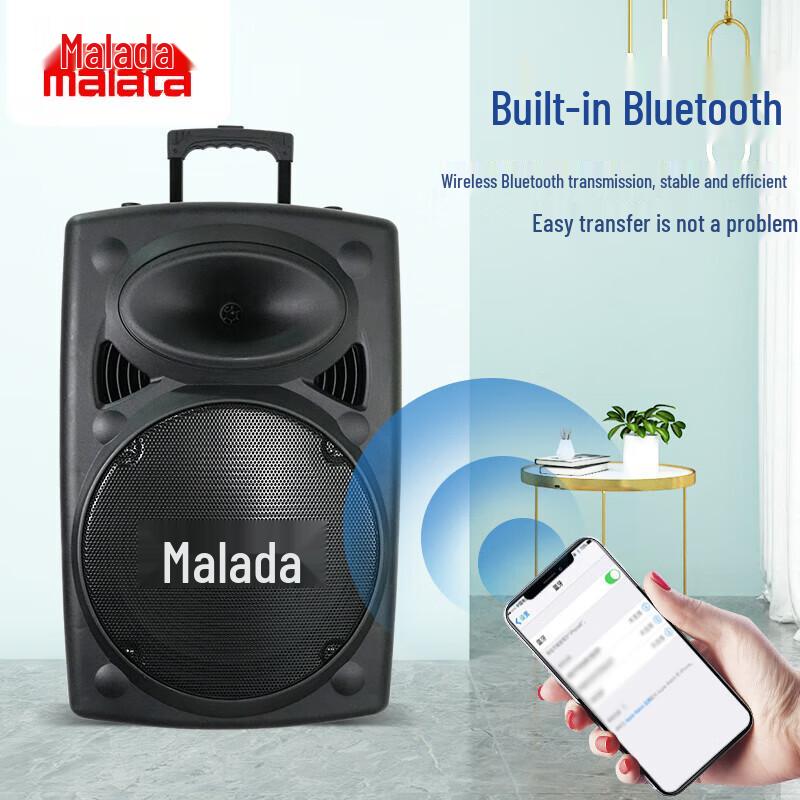 Malata M+9098 15-inch Portable PA Speaker CN plug (adapter included)